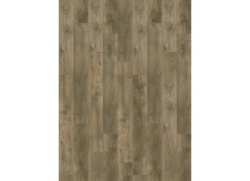 [CAT-GELASTA-NEVADA-6001-DRYBACK-VALLEY-OAK-PEPPER] Nevada 6001 (dryback) Valley Oak Pepper
