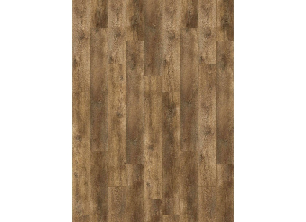 Nevada 6002 (dryback) Valley Oak Cinnamon