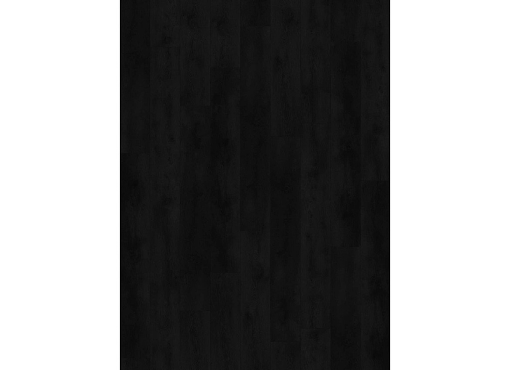 Nevada 6003 (dryback) Valley Oak Charcoal