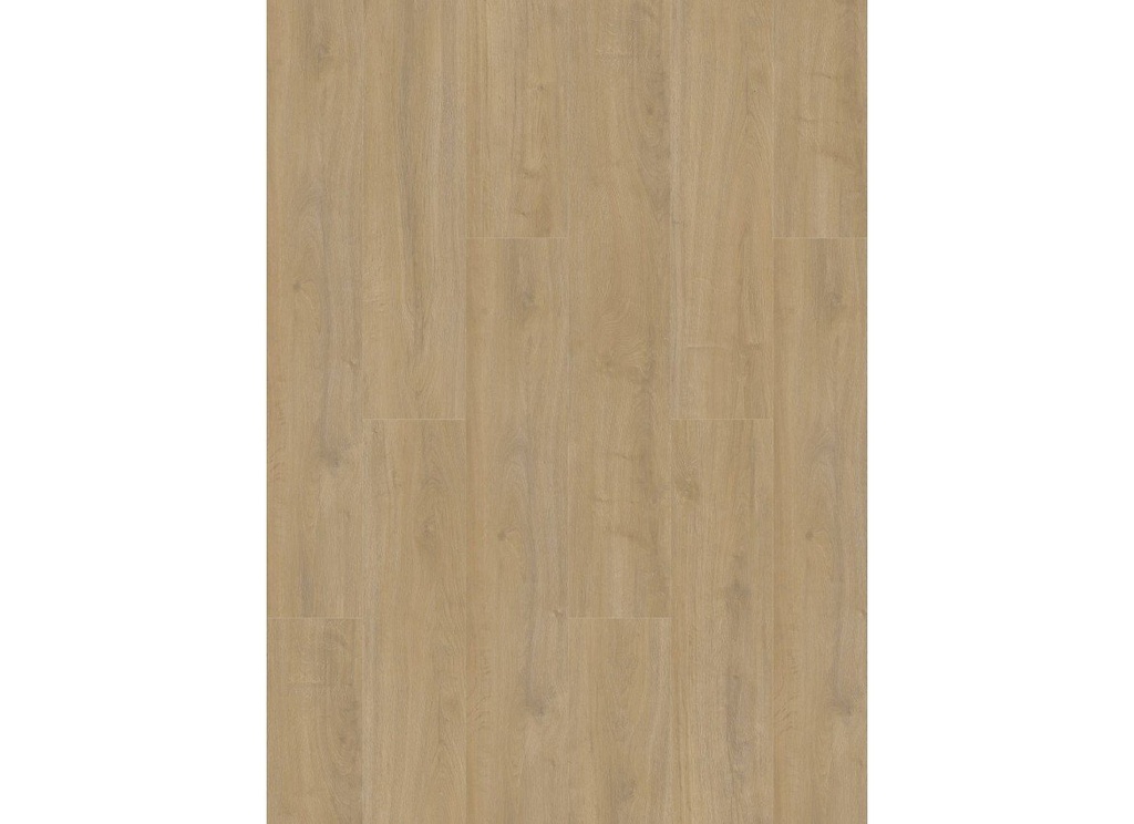 Oakland 6100 (dryback) Lime