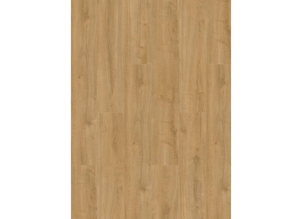 Oakland 6101 (dryback) Naturel