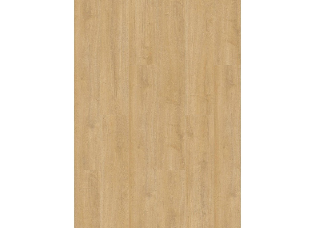 Oakland 6102 (dryback) Desert