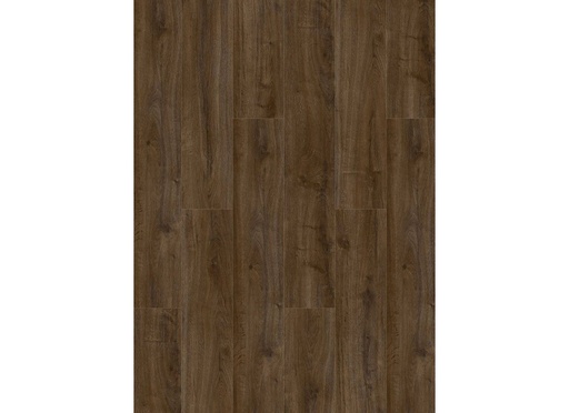 [CAT-GELASTA-OAKLAND-6103-DRYBACK-COFFEE] Oakland 6103 (dryback) Coffee