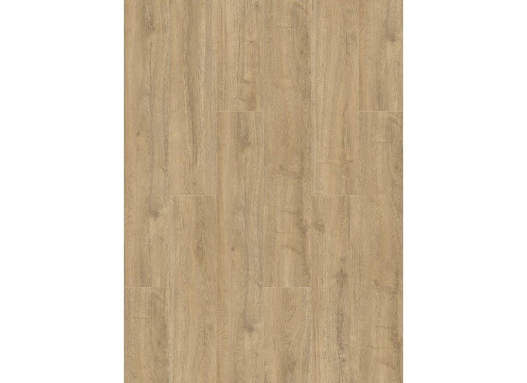 Oakland 6104 (dryback) Smoked