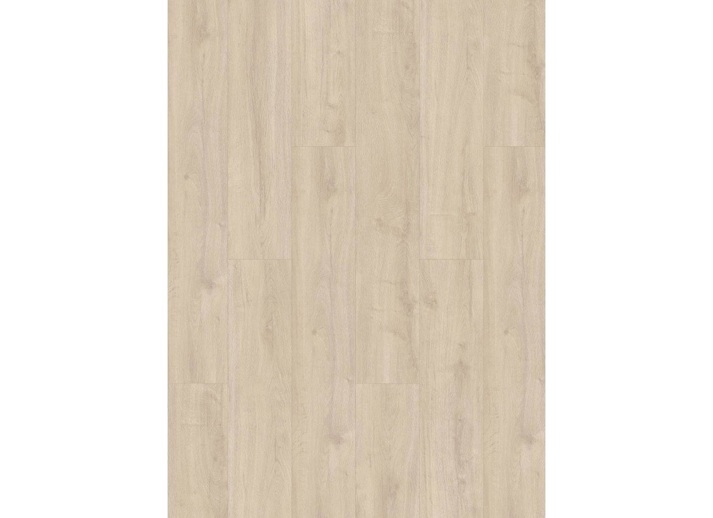 Oakland 6105 (dryback) Ivory