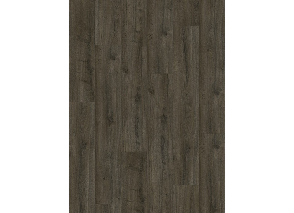 Oakland 6106 (dryback) Soil