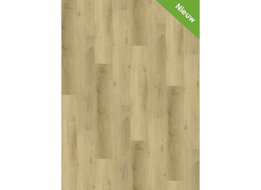 [CAT-GELASTA-TRAPTREDEN-SET-PVC-9904-VARIO-PRESTIGE-OAK-LIGHT] Traptreden set PVC 9904 Vario Prestige Oak Light