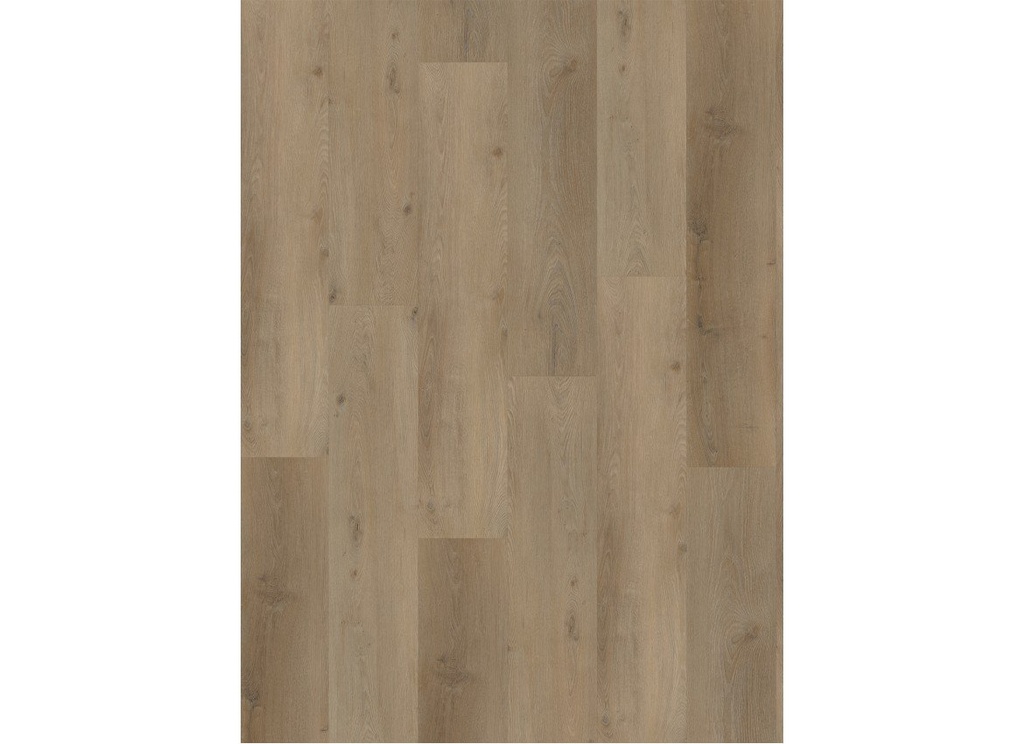 Vario 4901 (dryback) Prestige Oak Smoked