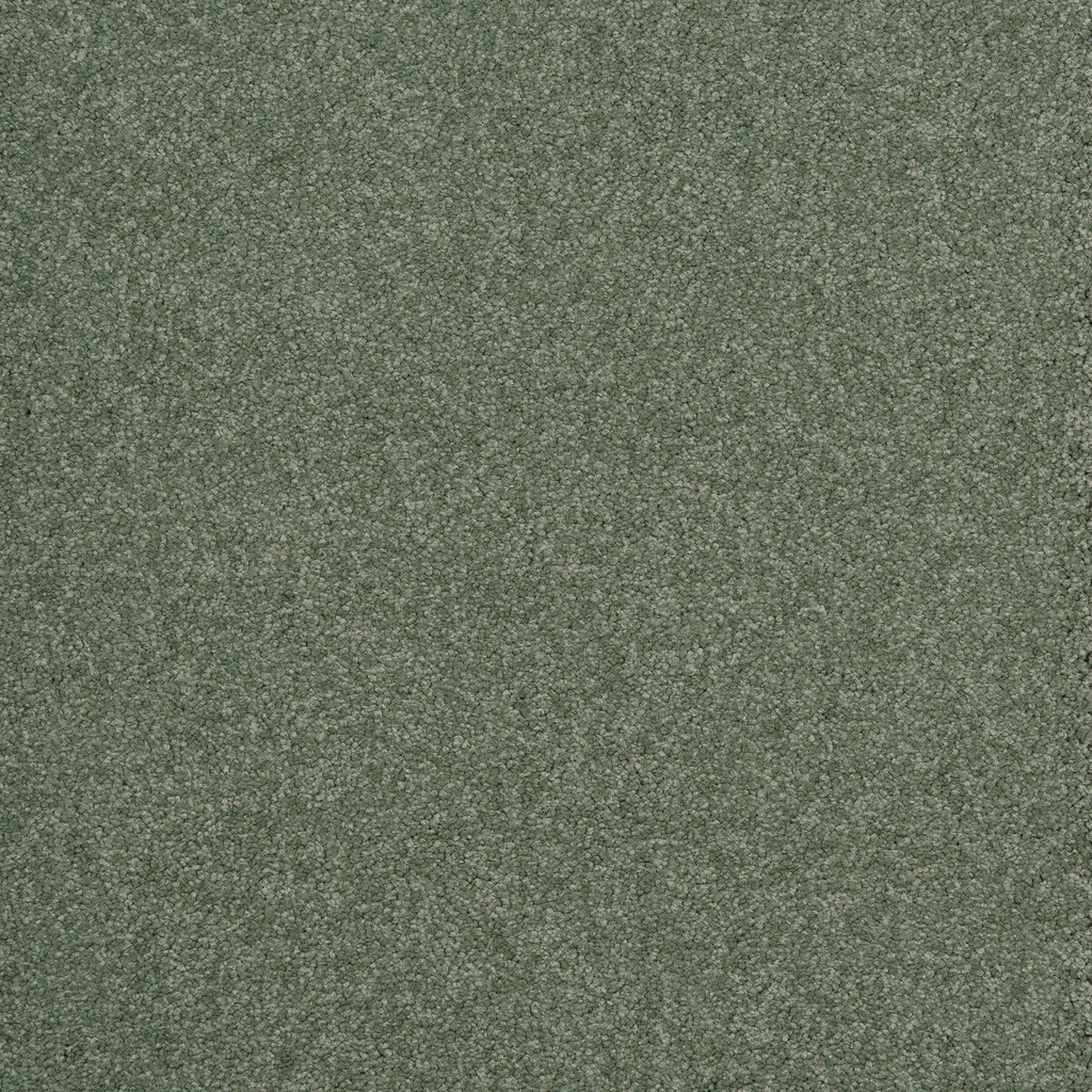 Arriva 027 Tapijt Amazing 400cm Kleur 240 x 400