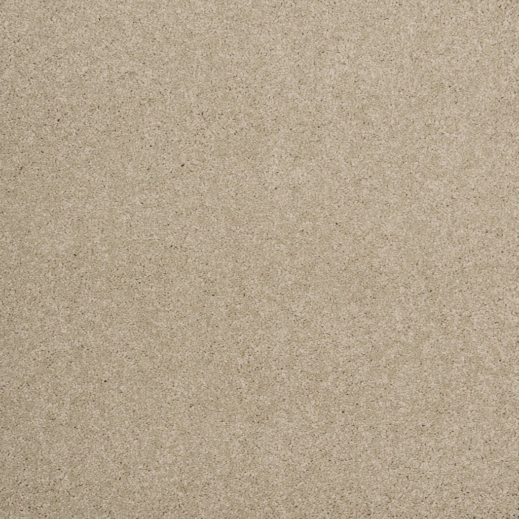Arriva 027 Tapijt Amazing 400cm Kleur 730 x 400
