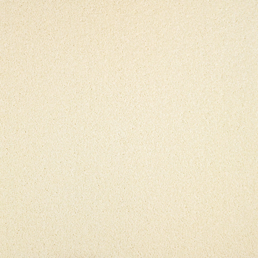 Arriva 027 Tapijt Gloria 400cm Kleur 005 x 400