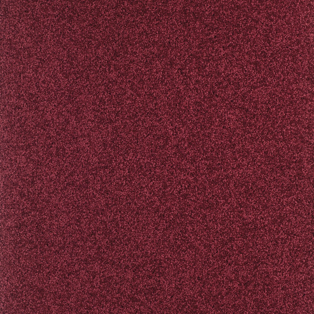 Arriva 027 Tapijt Gloria 400cm Kleur 590 x 400