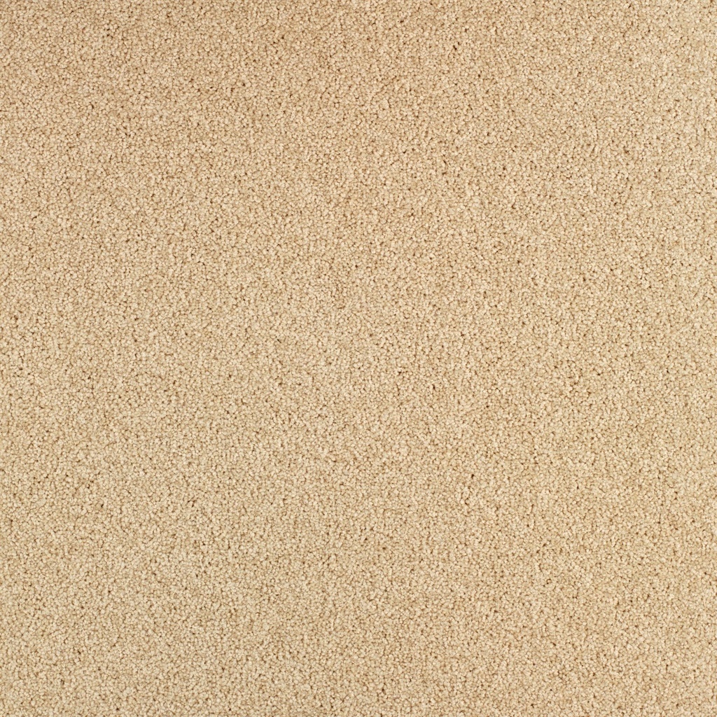 Arriva 027 Tapijt Gloria 400cm Kleur 620 x 400