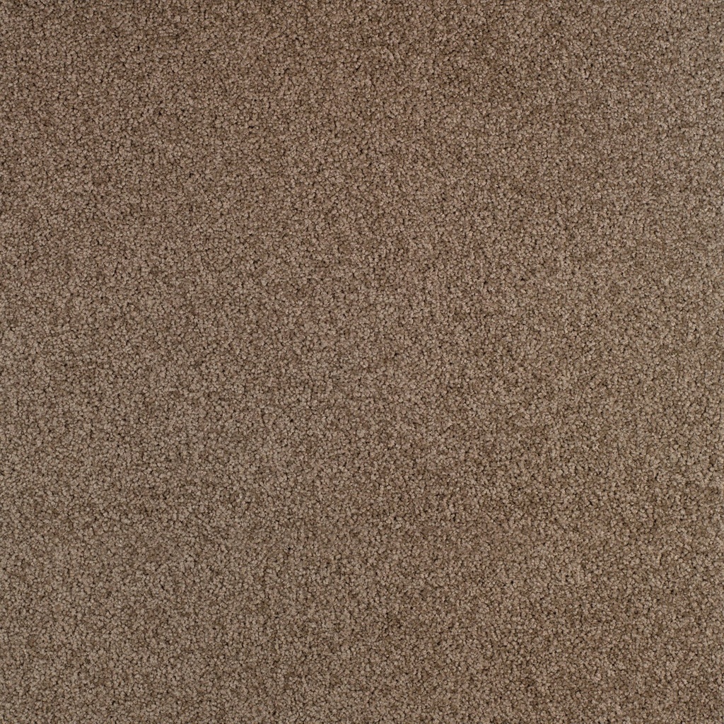 Arriva 027 Tapijt Gloria 400cm Kleur 750 x 400
