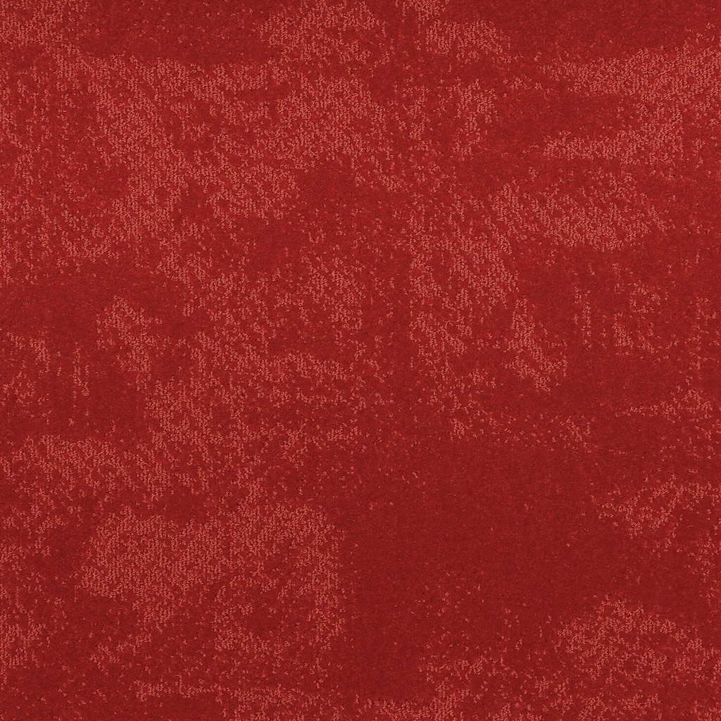 Arriva 027 Tapijt Grande 400cm Kleur 555 x 400