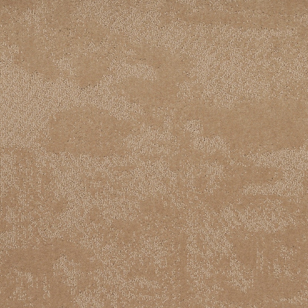 Arriva 027 Tapijt Grande 400cm Kleur 656 x 400