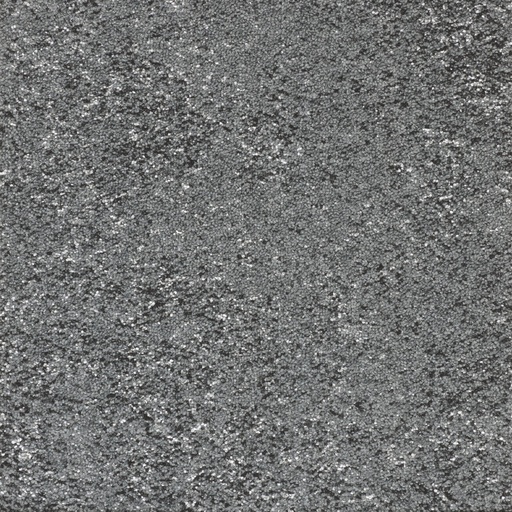 [TEPRELAFL_940] Arriva 027 Tapijt Relation Tegel 50x50cm Kleur 940 | pak à 4,00 m2