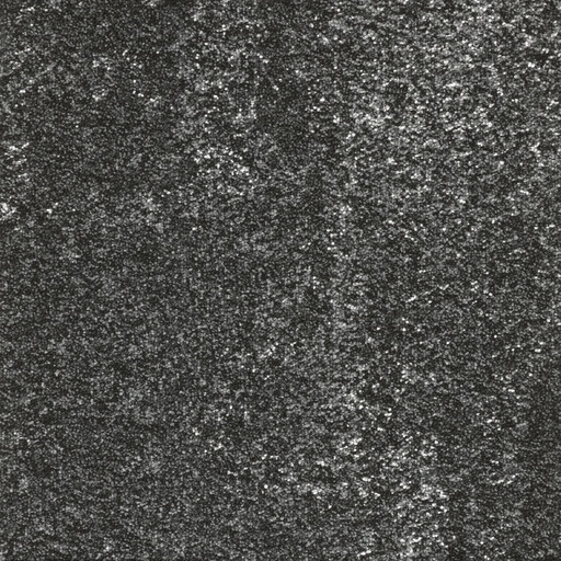 [TEPRELAFL_990] Arriva 027 Tapijt Relation Tegel 50x50cm Kleur 990 | pak à 4,00 m2