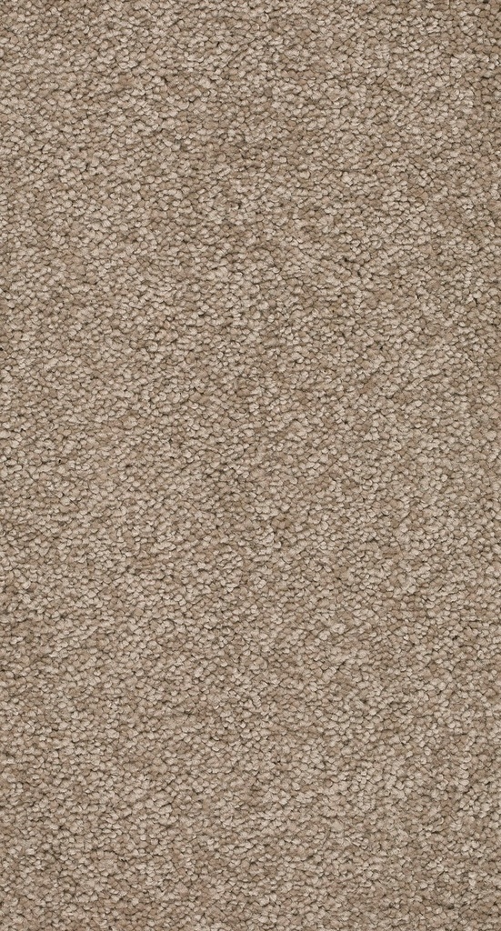 Arriva 027 Tapijt Secrets 400cm Kleur 90 x 400