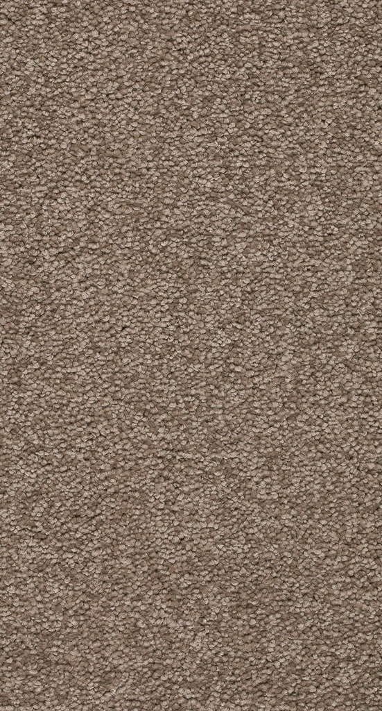 Arriva 027 Tapijt Secrets 500cm Kleur 72 x 500,0