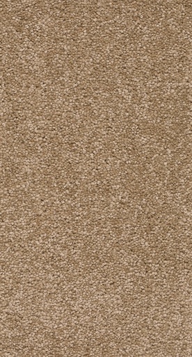 [TEPSECRE5_092] Arriva 027 Tapijt Secrets 500cm Kleur 92 x 500,0