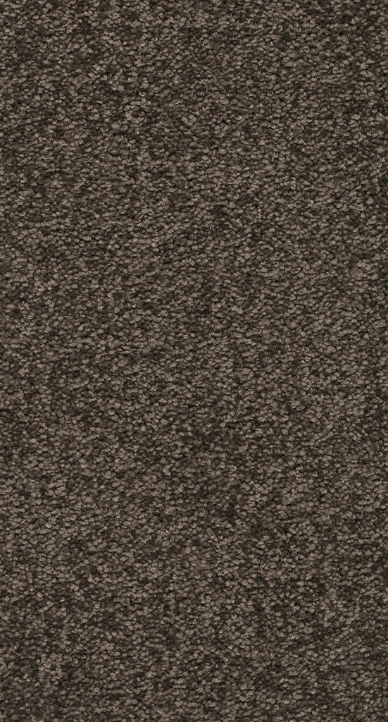 Arriva 027 Tapijt Secrets 500cm Kleur 94 x 500,0