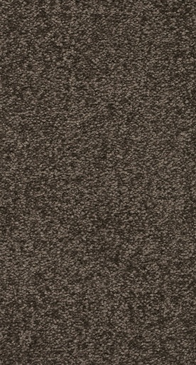 [TEPSECRE5_094] Arriva 027 Tapijt Secrets 500cm Kleur 94 x 500,0