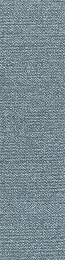 [TEPSERAPL_315] Arriva 027 Tapijt Sera PL 25x100cm Kleur 315 | pak à 4,00 m2