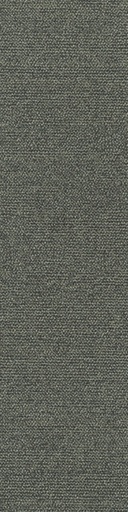 [TEPSERAPL_540] Arriva 027 Tapijt Sera PL 25x100cm Kleur 540 | pak à 4,00 m2