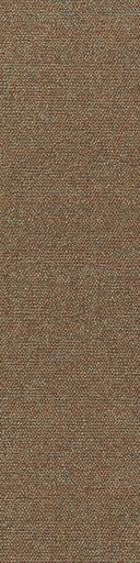[TEPSERAPL_765] Arriva 027 Tapijt Sera PL 25x100cm Kleur 765 | pak à 4,00 m2