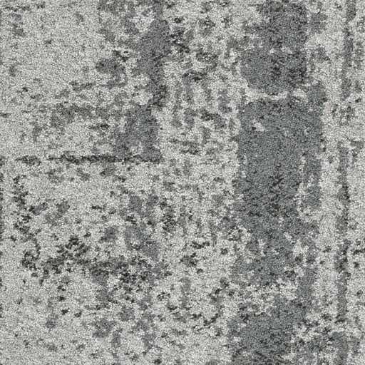 [TEPSIGMAFL_910] Arriva 027 Tapijt Sigma Tegel 50x50cm Kleur 910 | pak à 4,00 m2