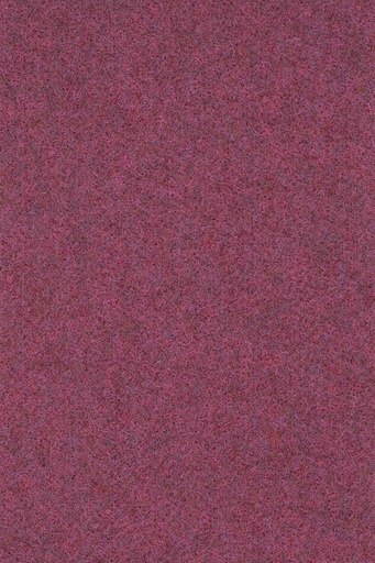 [TEPSTRO956_119] Atelier 2030 Naaldvilt STRONG 956 200cm Kleur 119