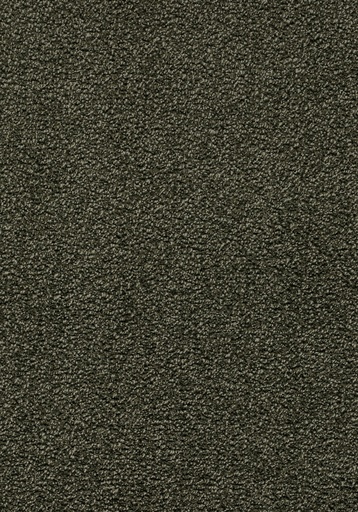 [TEPCAMIL04_040] Balance 25 Tapijt CAMILLO 400cm Kleur 40