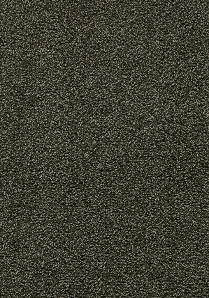 Balance 25 Tapijt CAMILLO 500cm Kleur 40