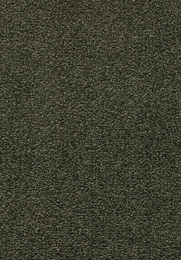 [TEPCAMIL05_040] Balance 25 Tapijt CAMILLO 500cm Kleur 40