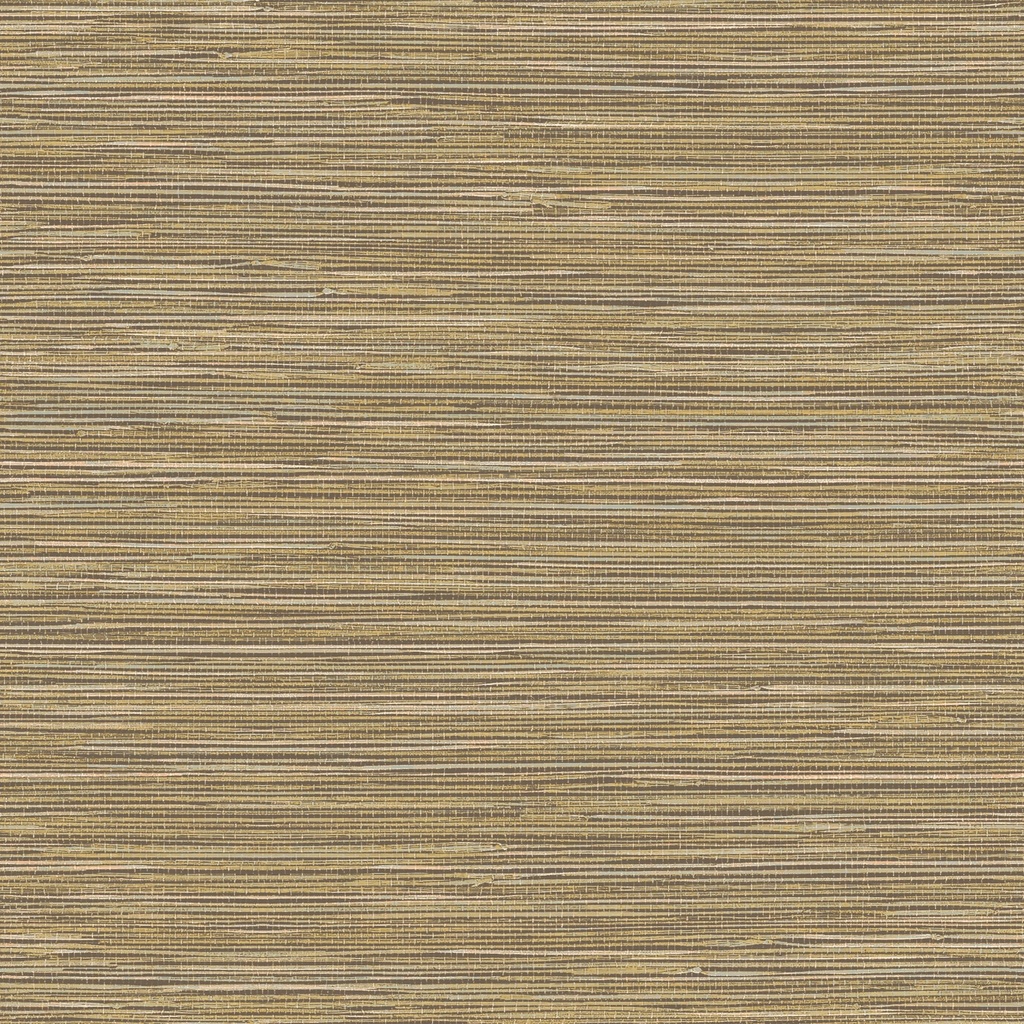Behang 20629 Colormix VI 2025 10,05 x 0,53 mtr