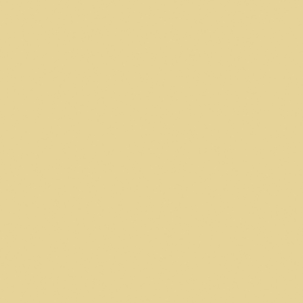 Behang 20647 Colormix VI 2025 10,05 x 0,53 mtr