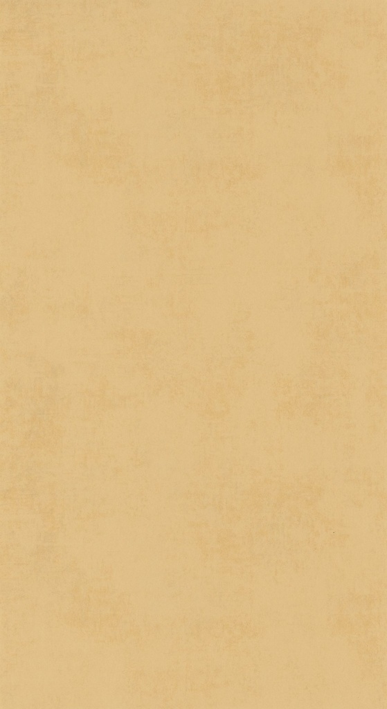 Behang 20706 Color III 2025 10,05 x 0,53 mtr