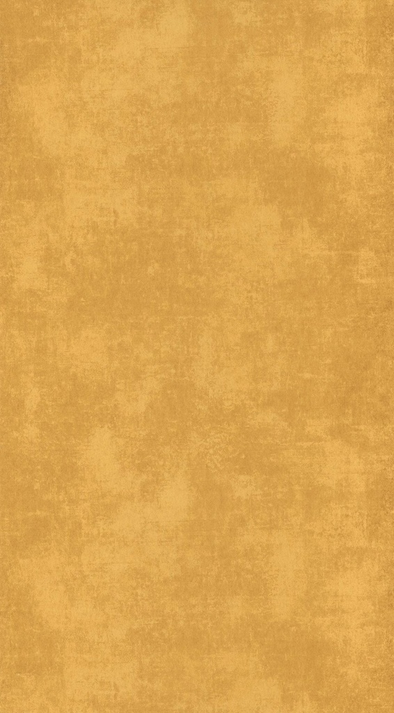 Behang 20708 Color III 2025 10,05 x 0,53 mtr