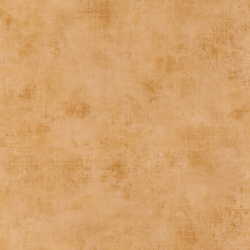 Behang 20709 Color III 2025 10,05 x 0,53 mtr