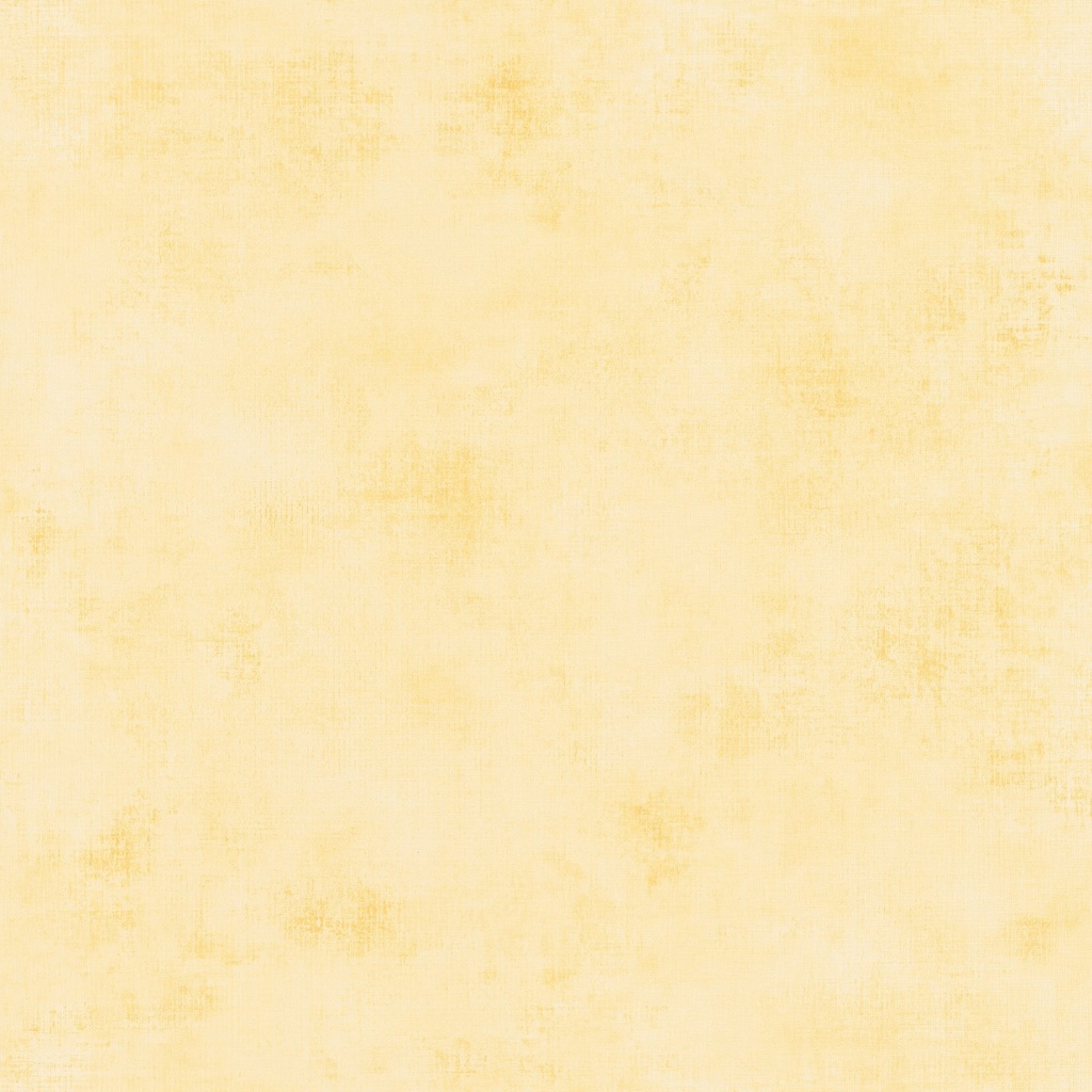 Behang 20712 Color III 2025 10,05 x 0,53 mtr
