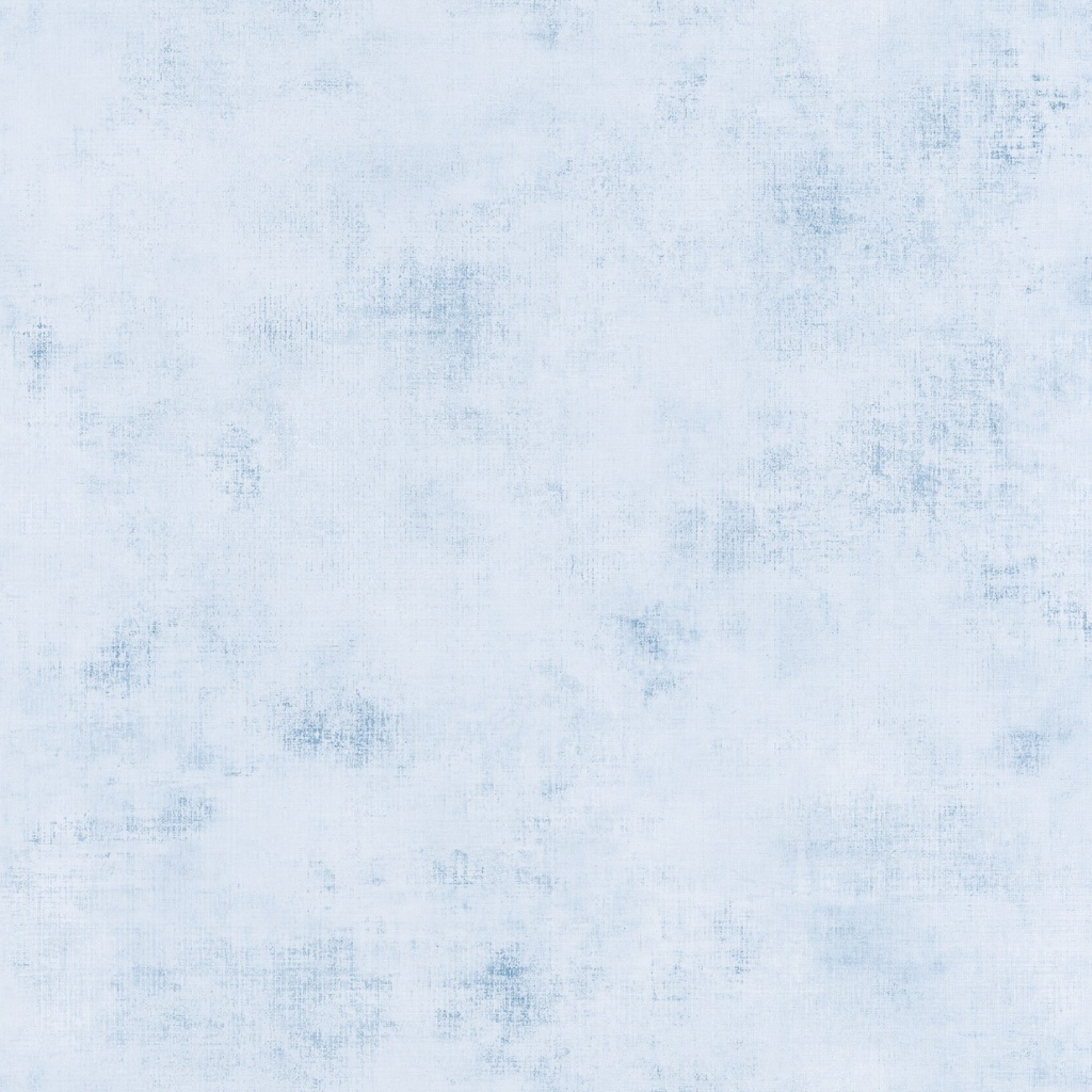 Behang 20719 Color III 2025 10,05 x 0,53 mtr