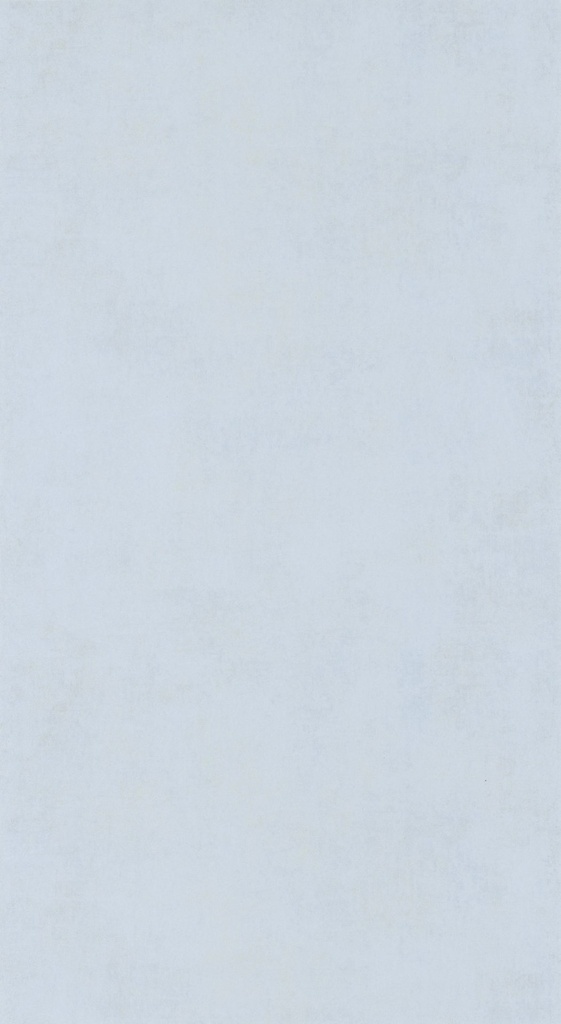 Behang 20724 Color III 2025 10,05 x 0,53 mtr