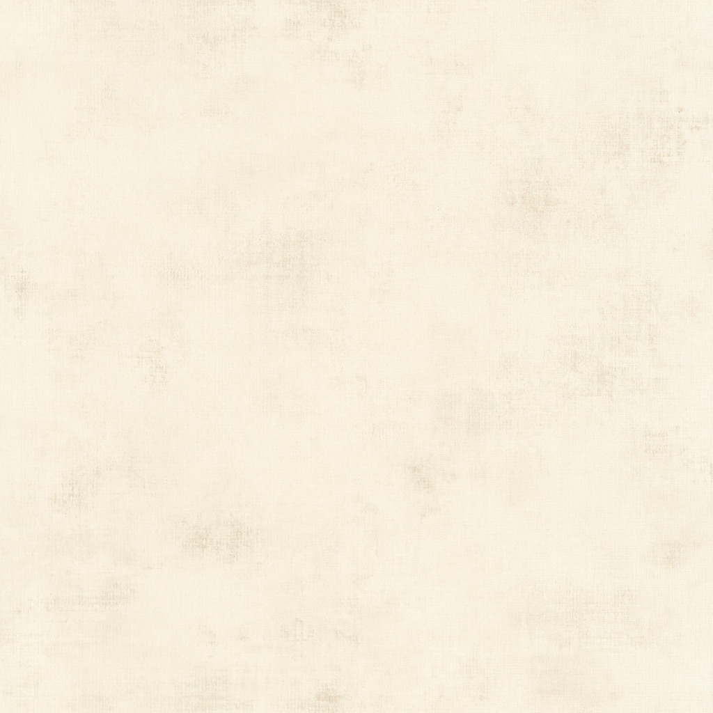 Behang 20729 Color III 2025 10,05 x 0,53 mtr