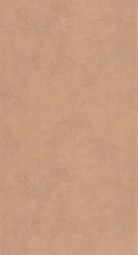 [TAP20738] Behang 20738 Color III 2025 10,05 x 0,53 mtr