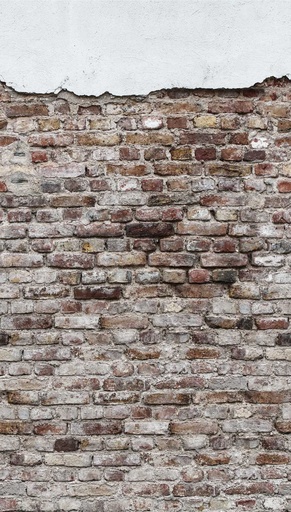 [TAPEDB600] Behang EBD600 Murals II 2025 Digitaaldruk 2,80 mtr x 1,59 mtr