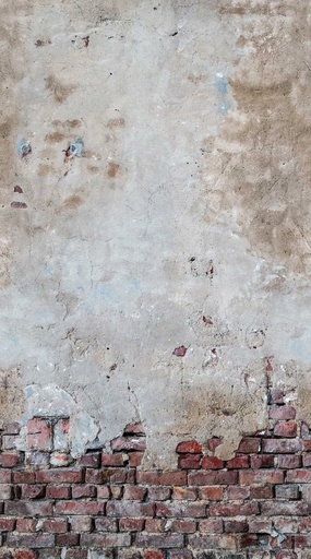 [TAPEDB603] Behang EBD603 Murals II 2025 Digitaaldruk 2,80 mtr x 1,59 mtr