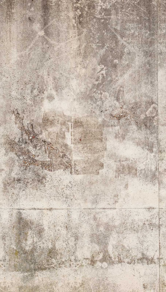 Behang EBD605 Murals II 2025 Digitaaldruk 2,80 mtr x 1,59 mtr