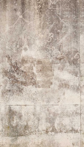 [TAPEDB605] Behang EBD605 Murals II 2025 Digitaaldruk 2,80 mtr x 1,59 mtr