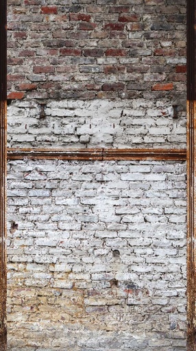 [TAPEDB606] Behang EBD606 Murals II 2025 Digitaaldruk 2,80 mtr x 1,59 mtr